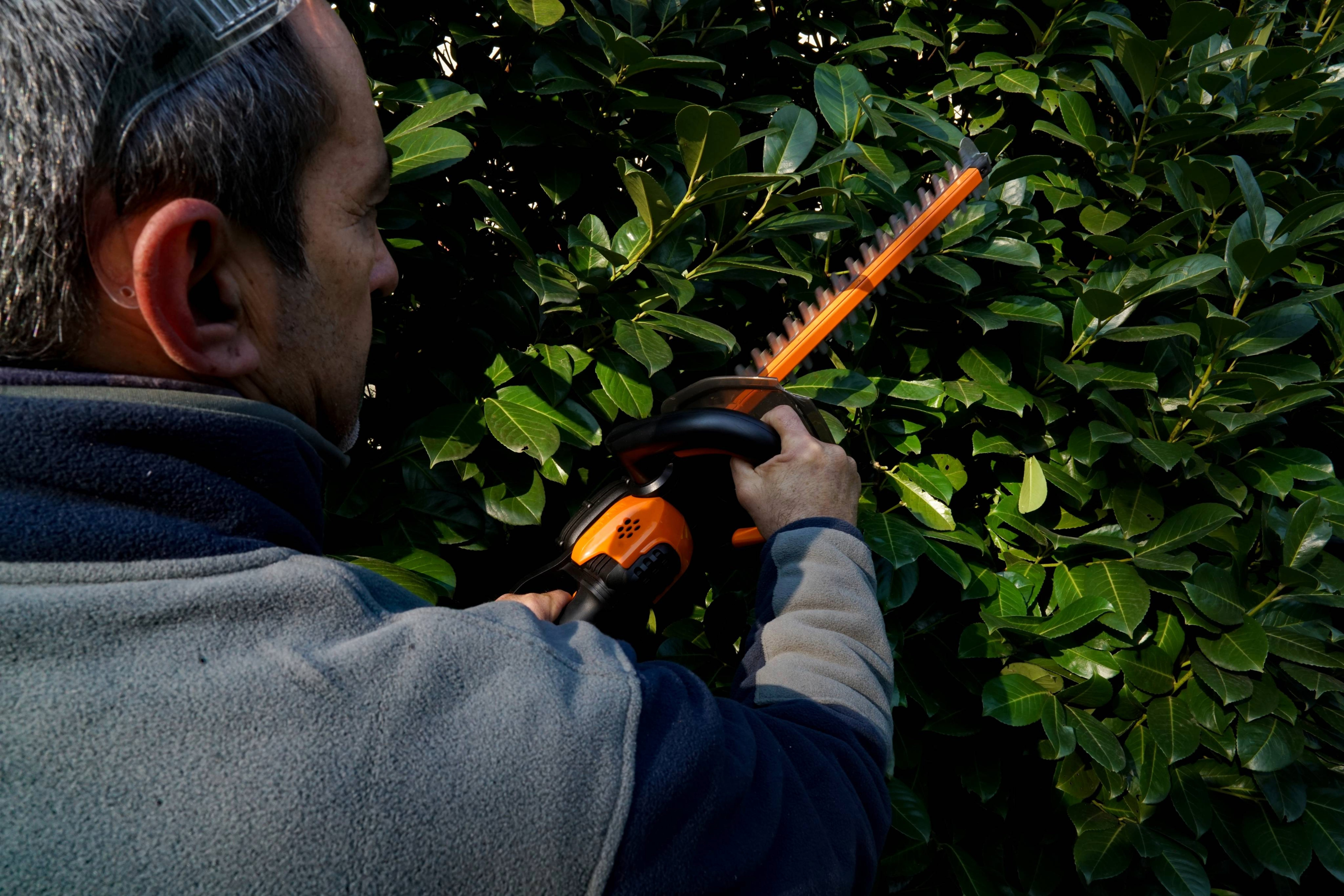 Cortasetos 44 cm 20V (S/bat)